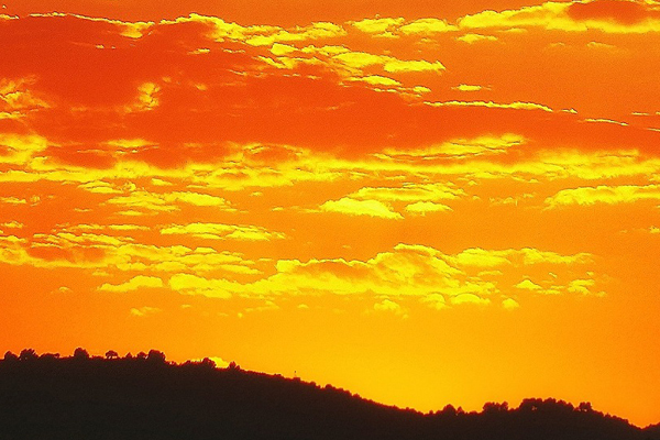 Cielos