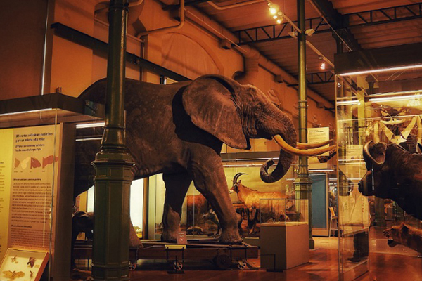 Museo de ciencias