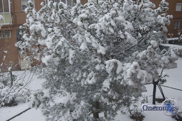Nieve nevada filomena onerom