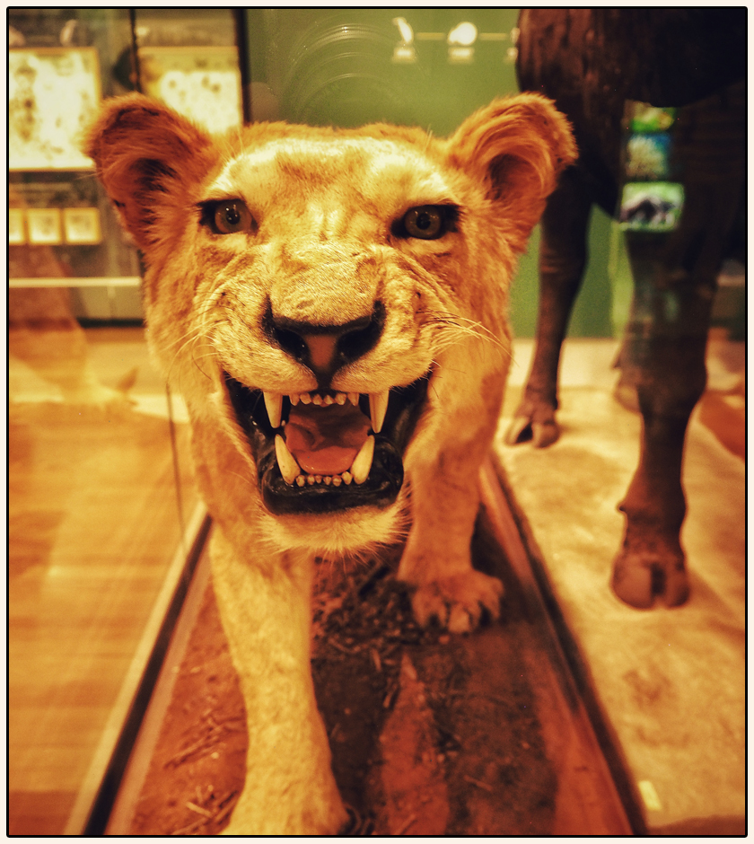 foto portada onerom.es