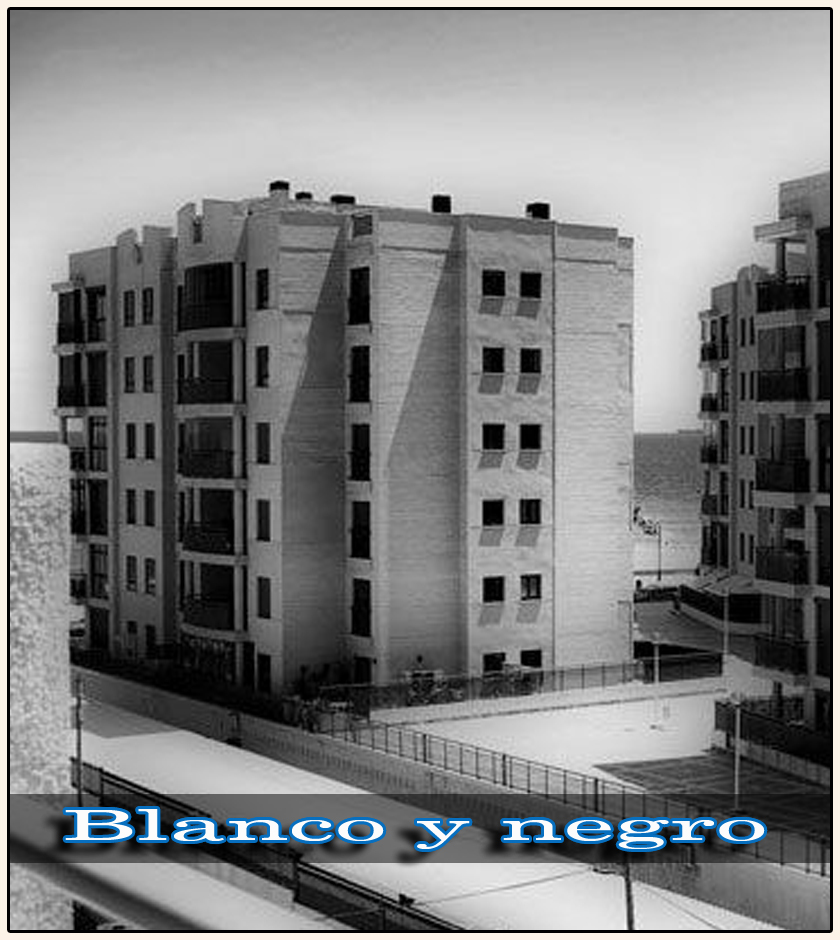 Galería en blanco y negr