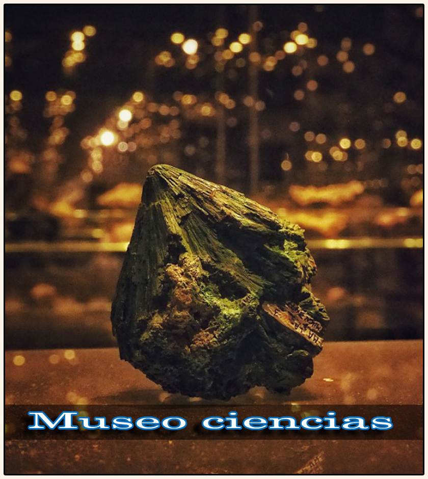 Museo de ciencias